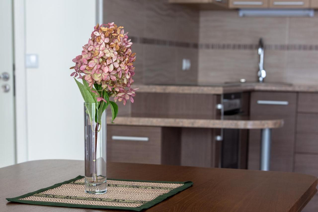 Violetos Lux Apartamentai Huoneisto Druskininkai